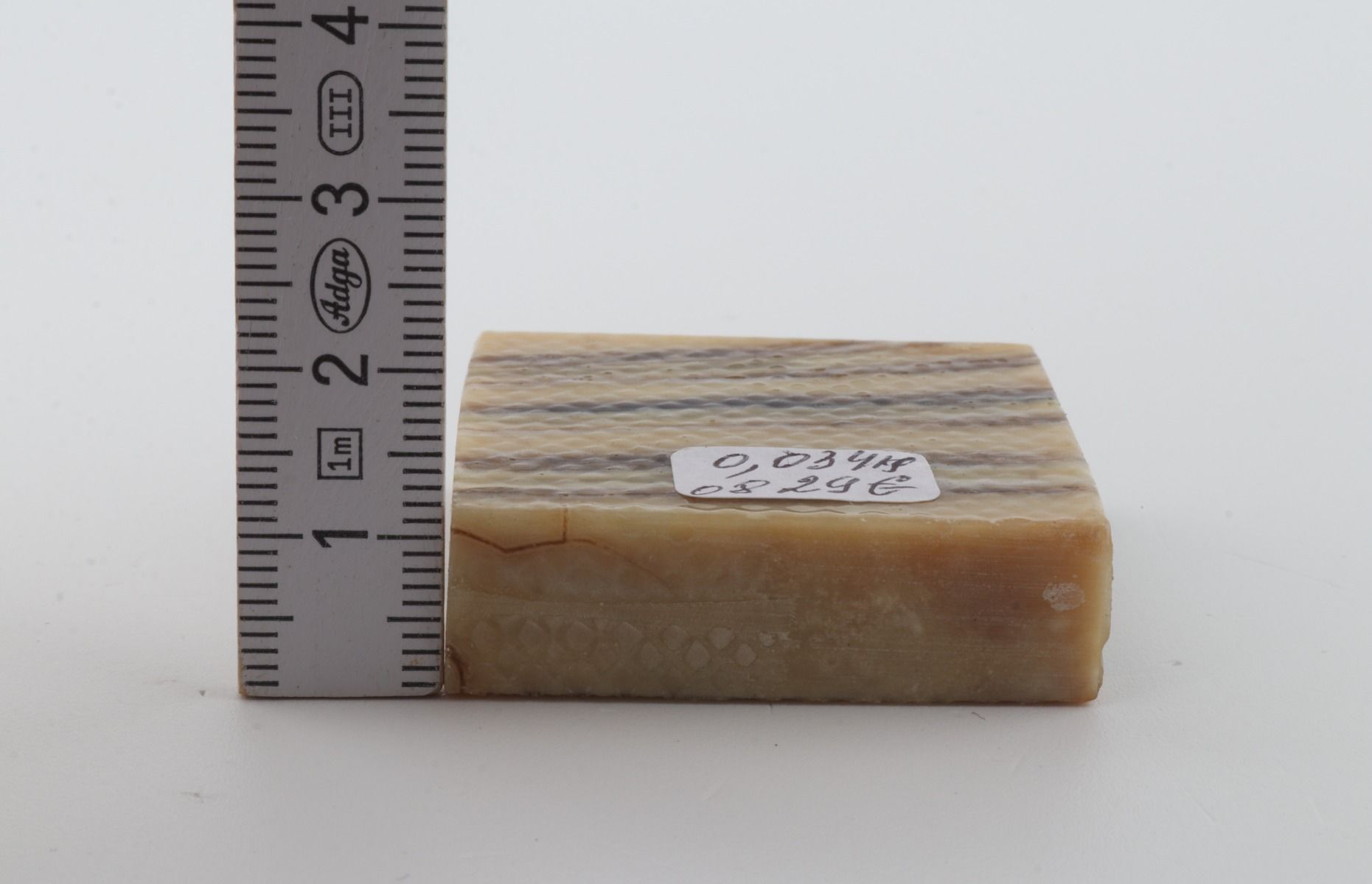 Stabilized mammoth molar piece