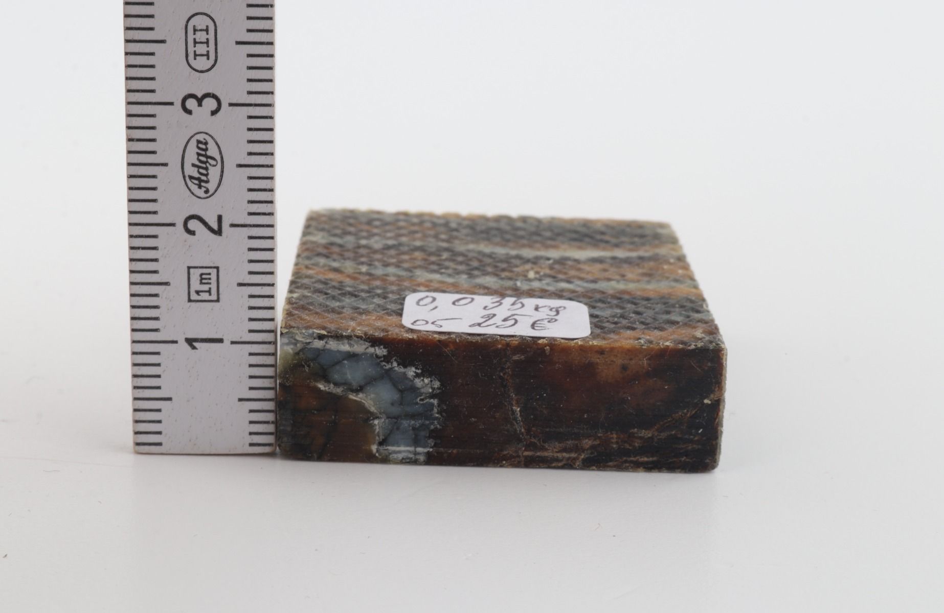 Stabilised mammoth molar piece