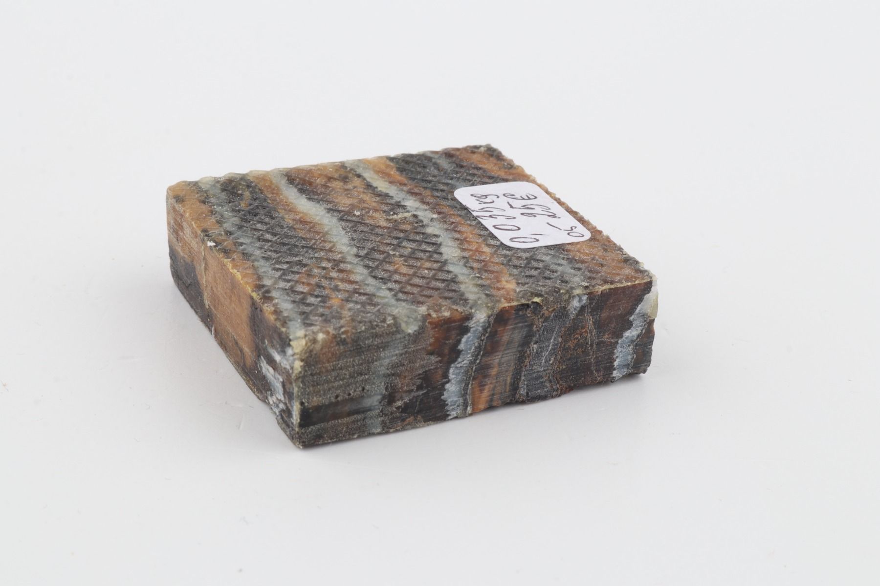 Stabilised mammoth molar piece