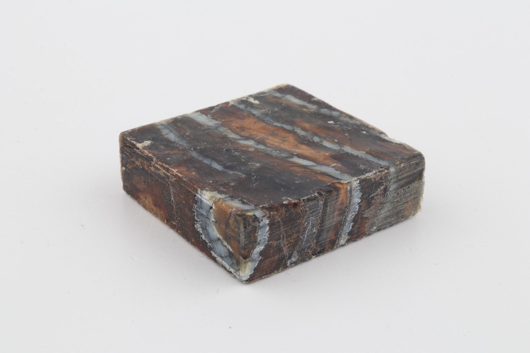 Stabilised mammoth molar piece
