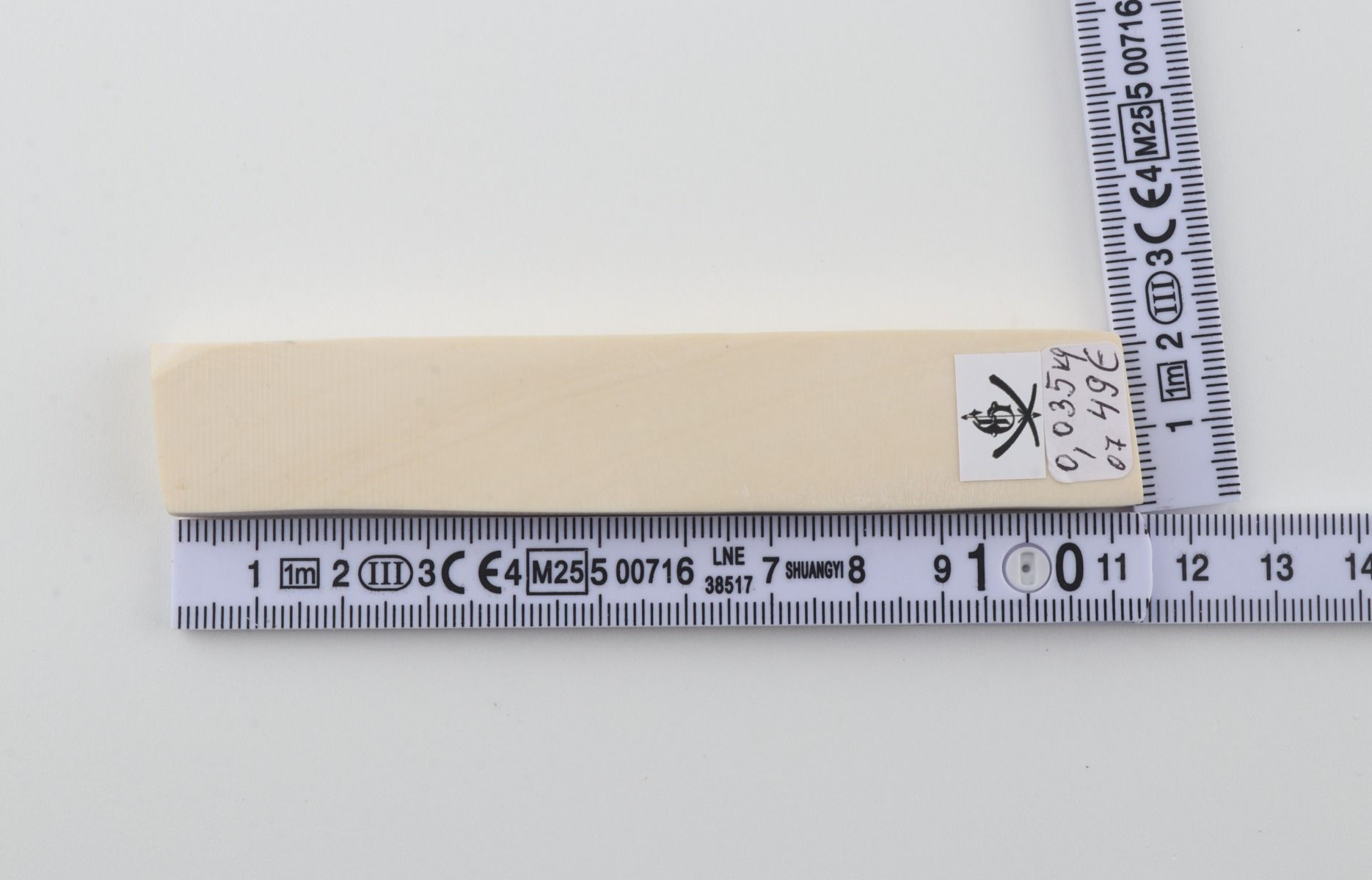White mammoth ivory segment