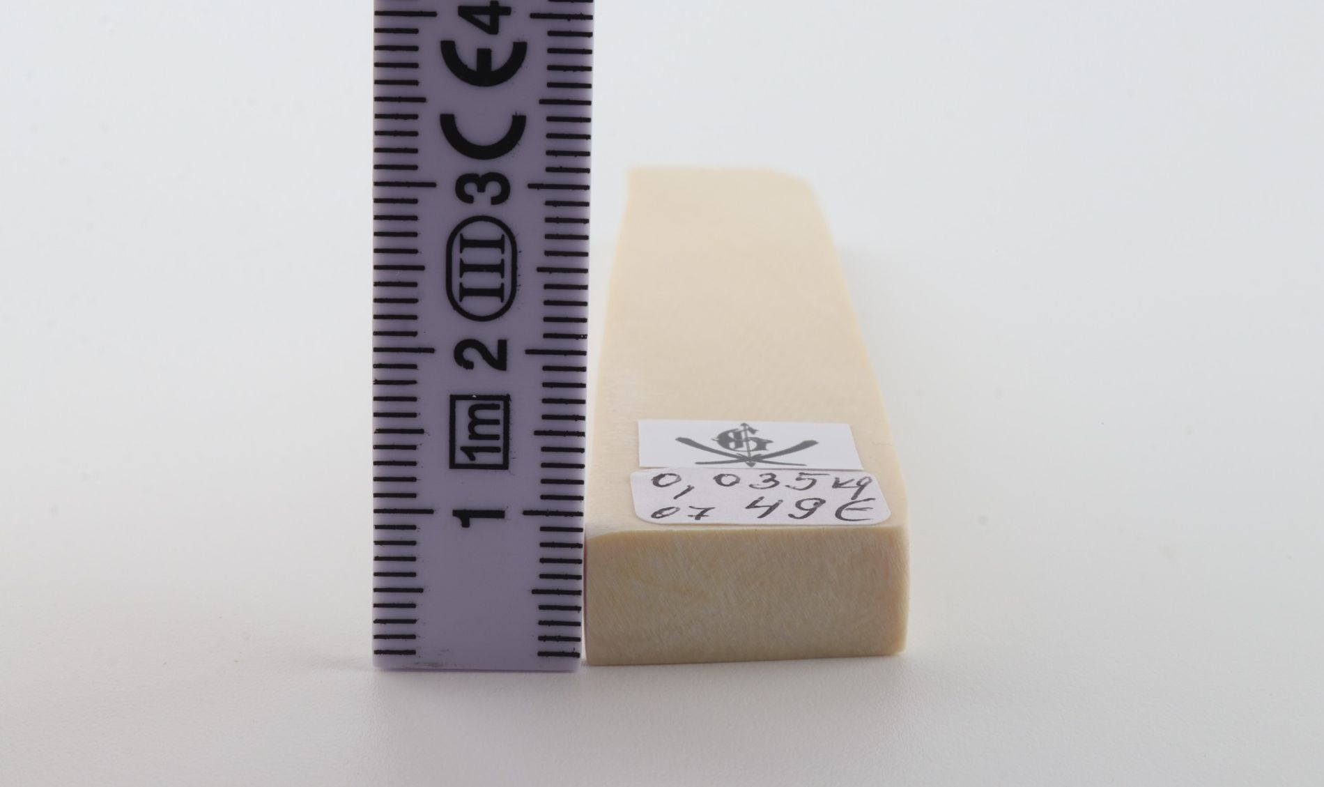 White mammoth ivory segment