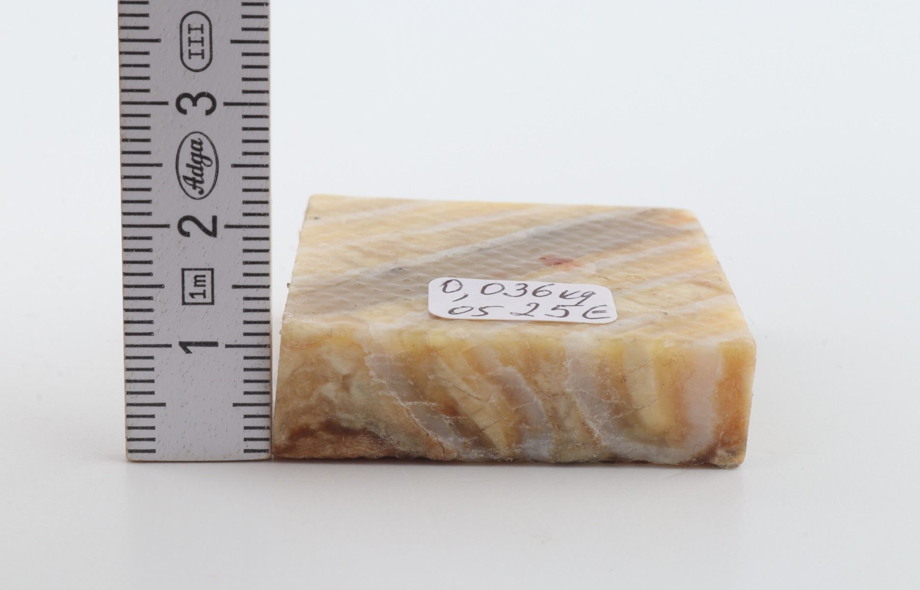 Stabilised mammoth molar piece