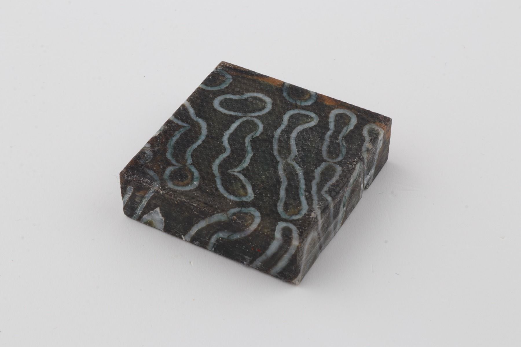 Stabilized mammoth molar block