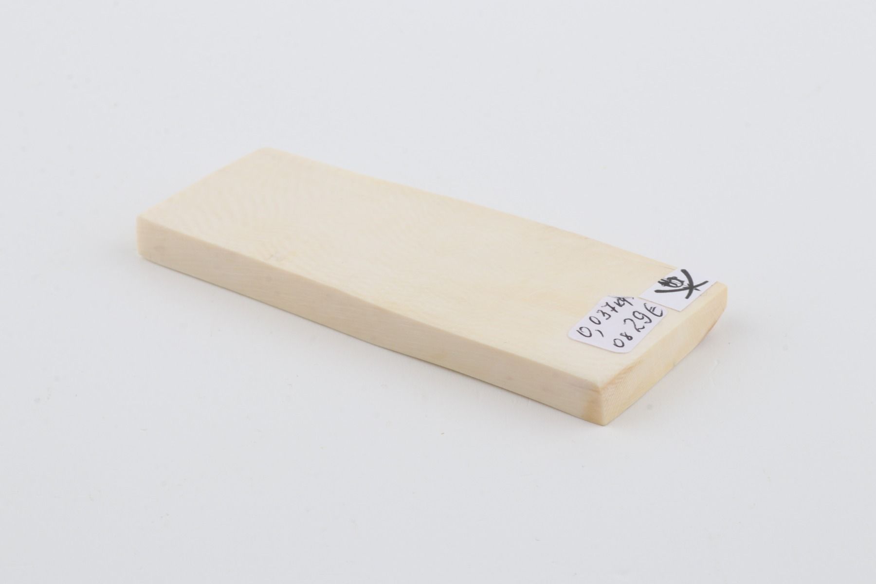 White mammoth ivory segment