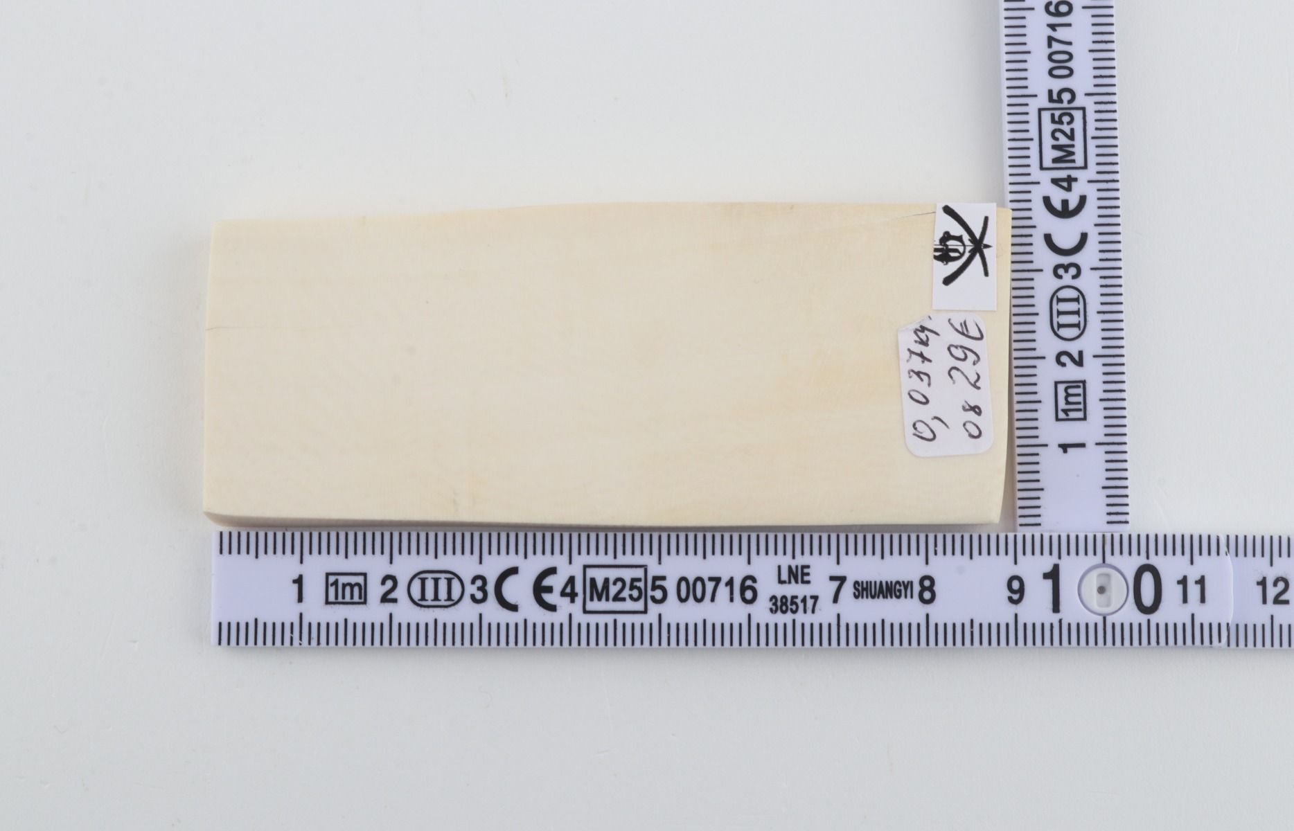 White mammoth ivory segment