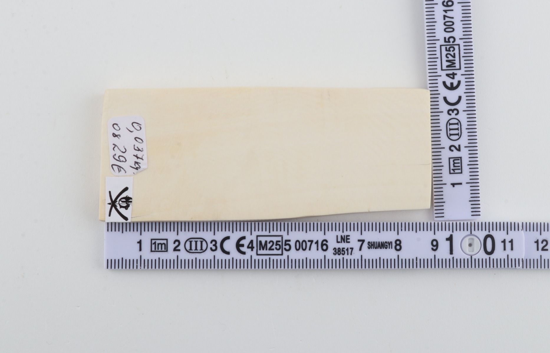 White mammoth ivory segment