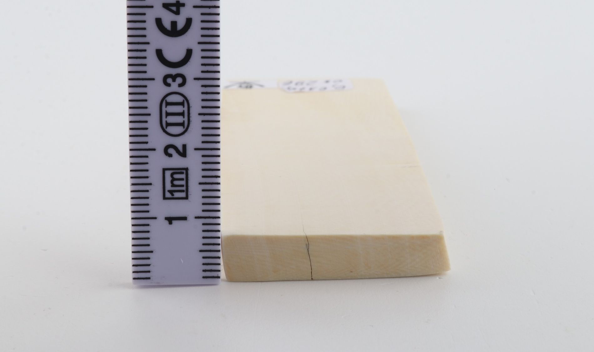 White mammoth ivory segment