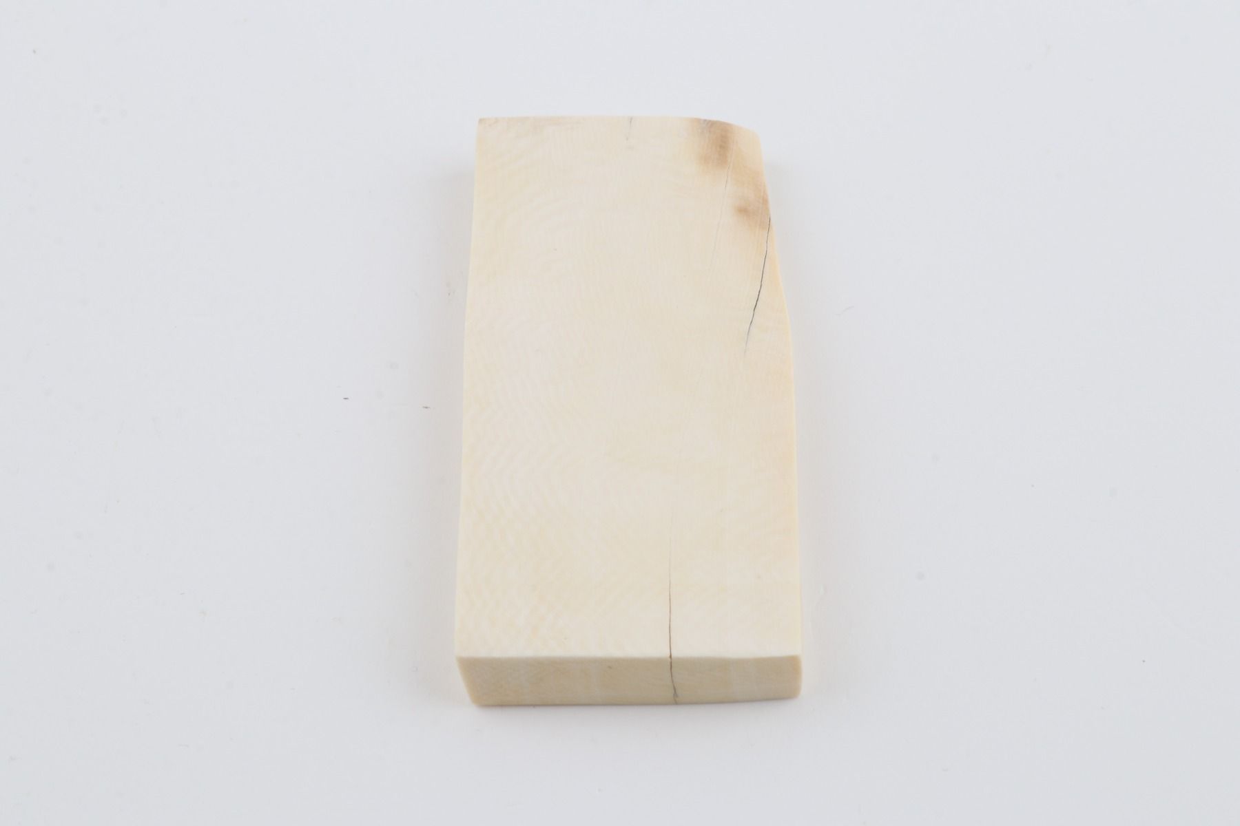 White mammoth ivory segment