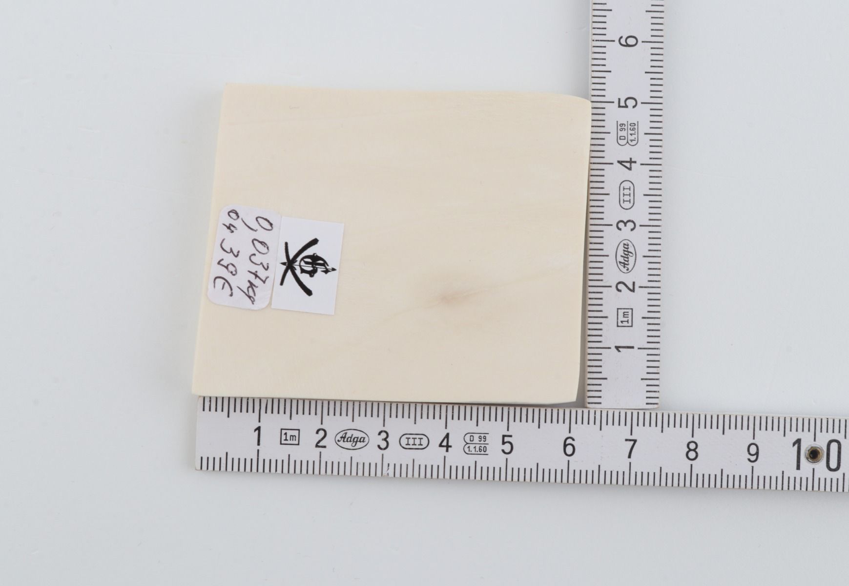 White mammoth ivory segment