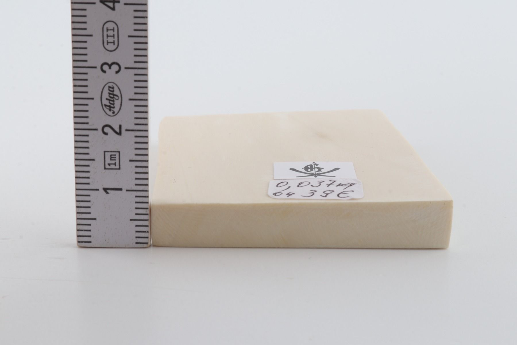 White mammoth ivory segment