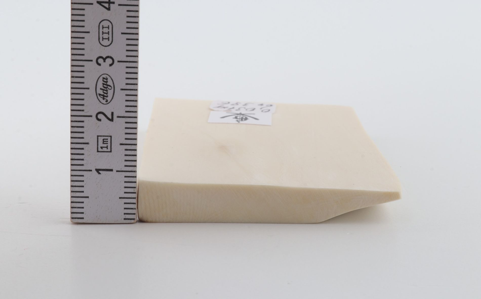 White mammoth ivory segment