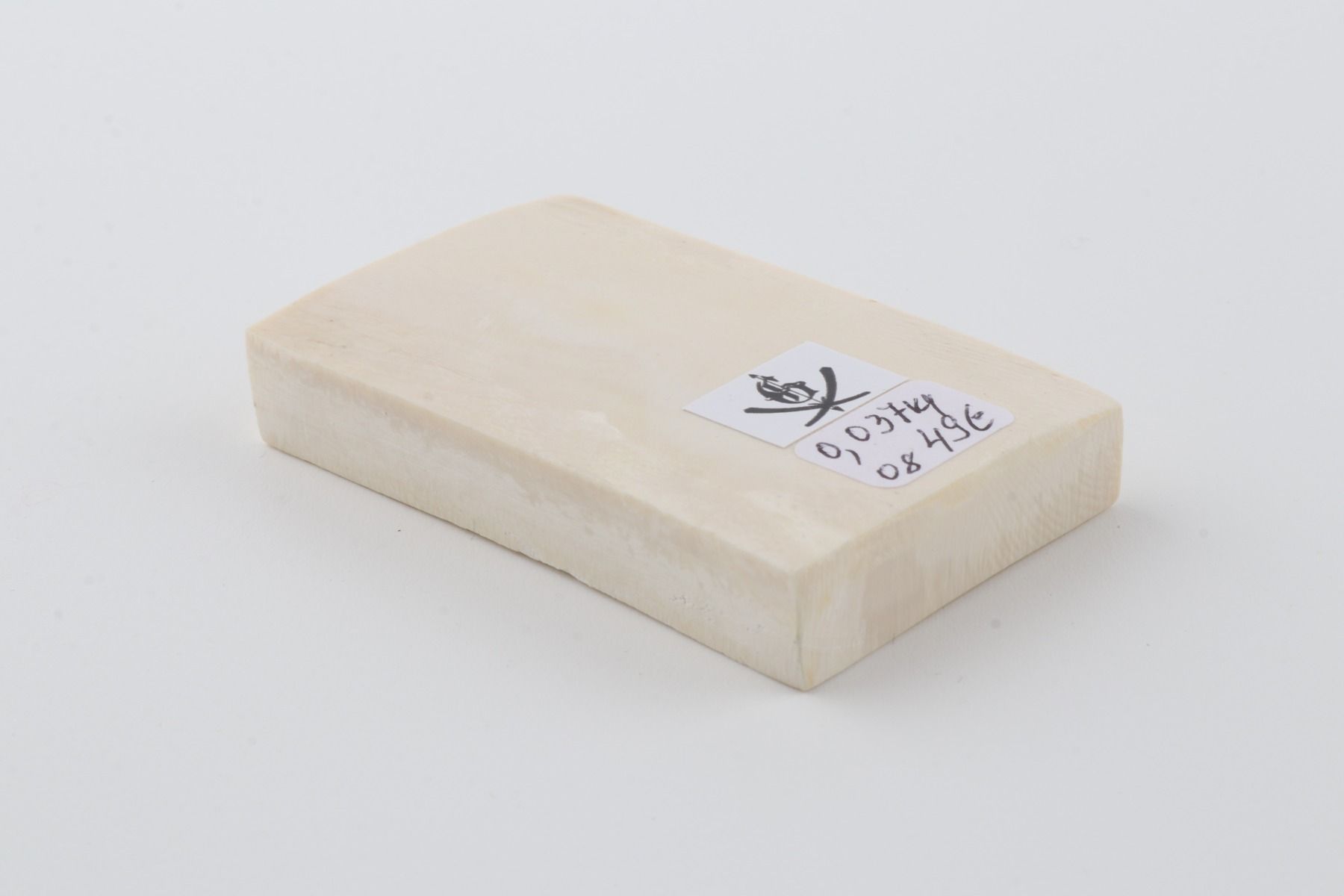 White mammoth ivory segment
