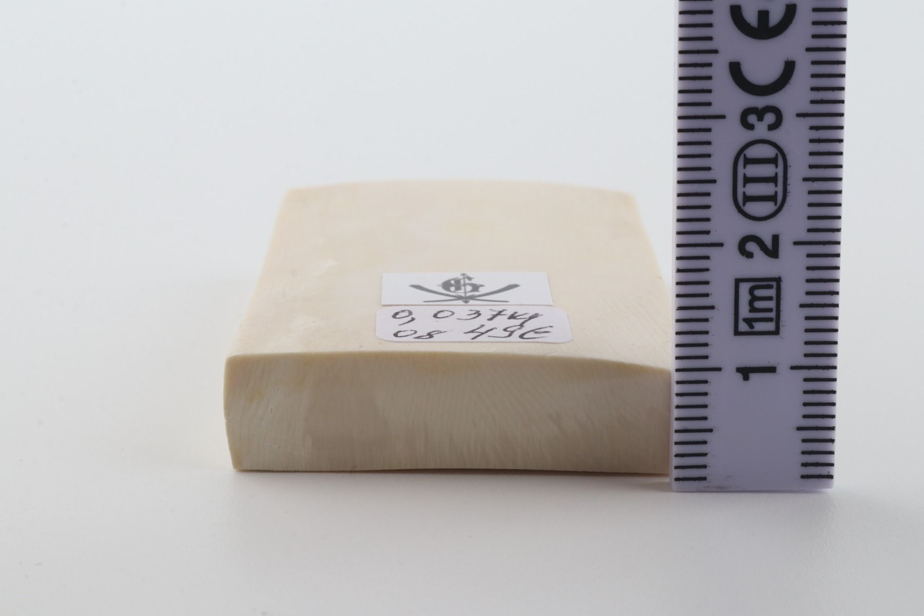White mammoth ivory segment