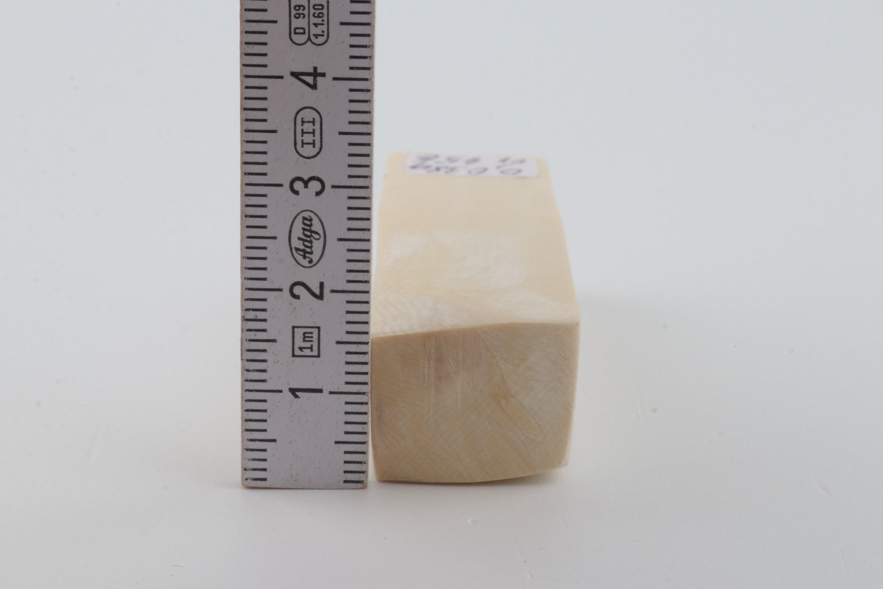 White mammoth ivory segment