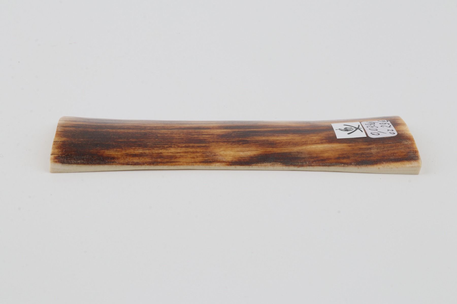 Brown-yellow mammoth bark