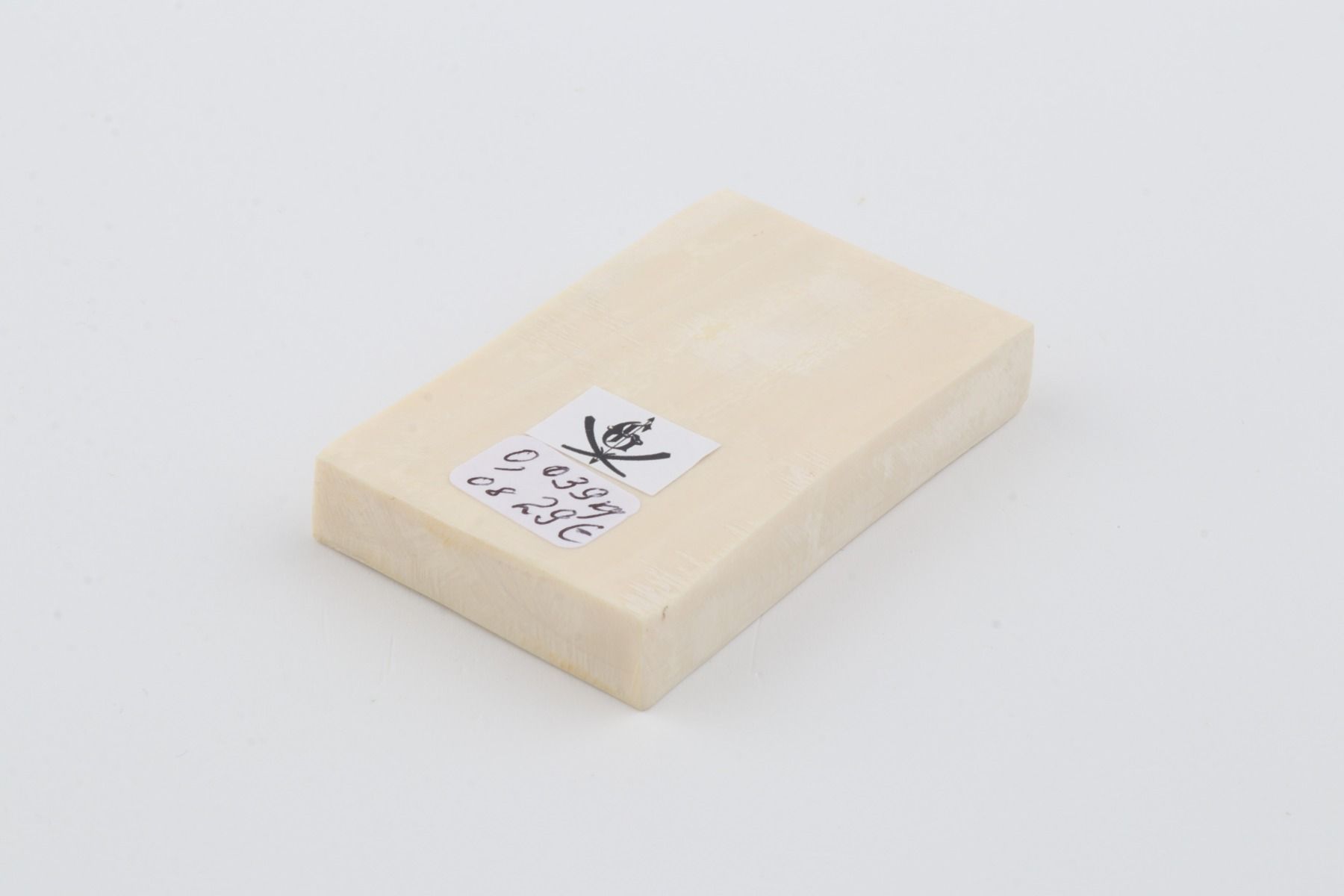 White mammoth ivory segment