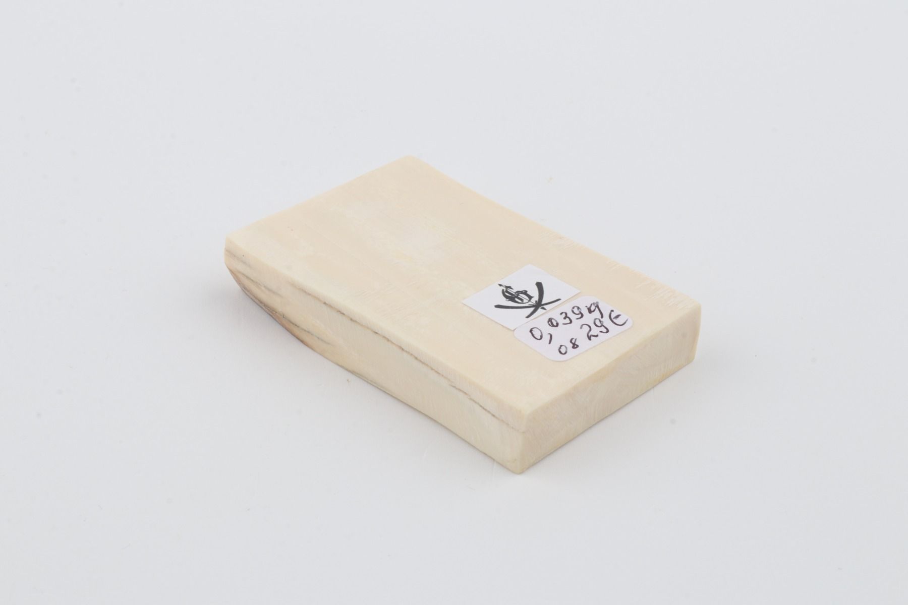White mammoth ivory segment