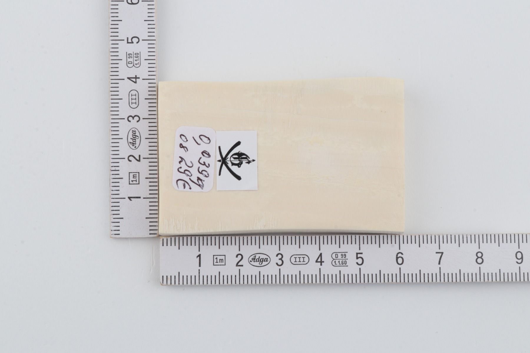 White mammoth ivory segment