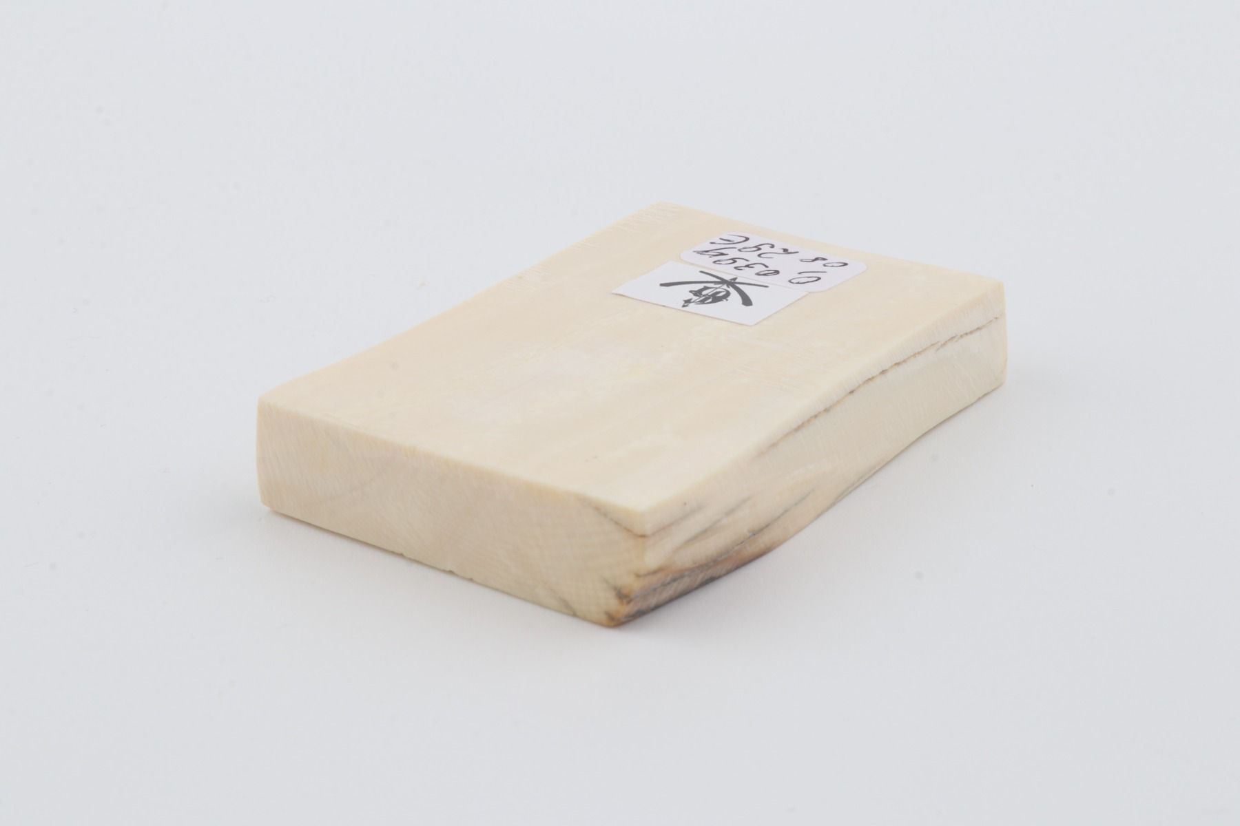 White mammoth ivory segment