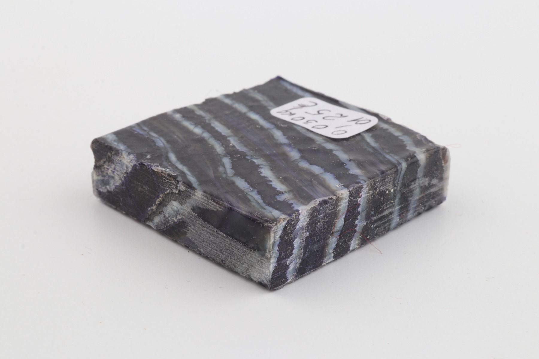 Stabilized mammoth molar piece