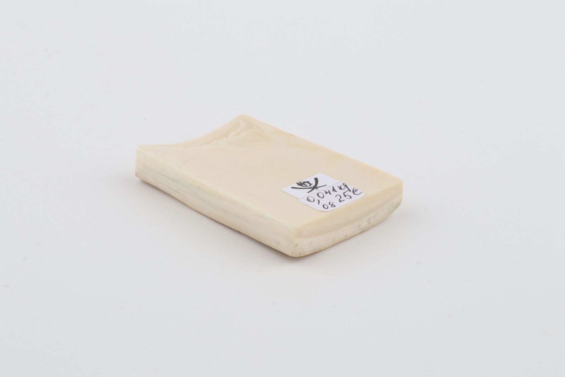 White mammoth ivory segment