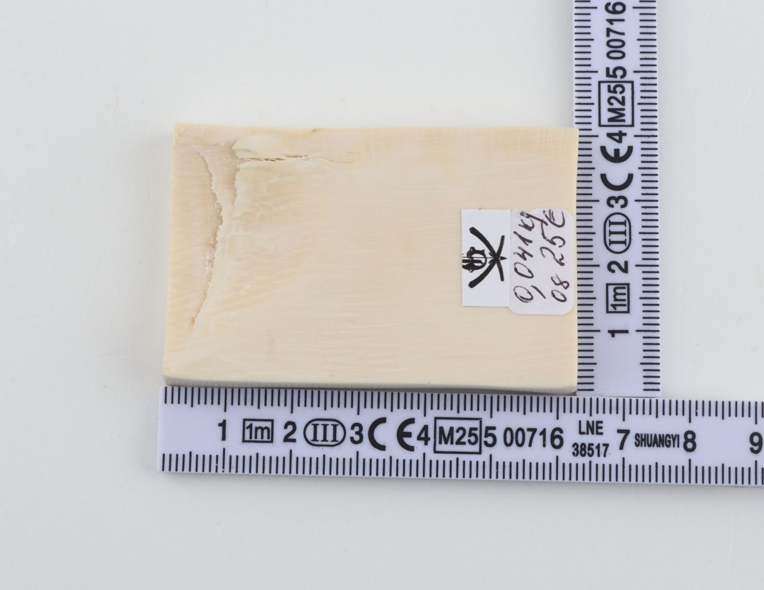 White mammoth ivory segment