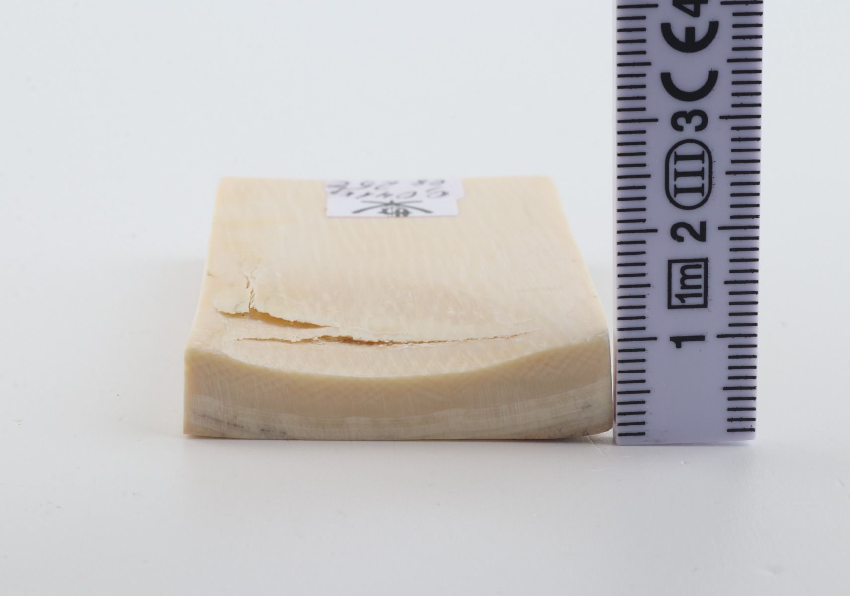 White mammoth ivory segment