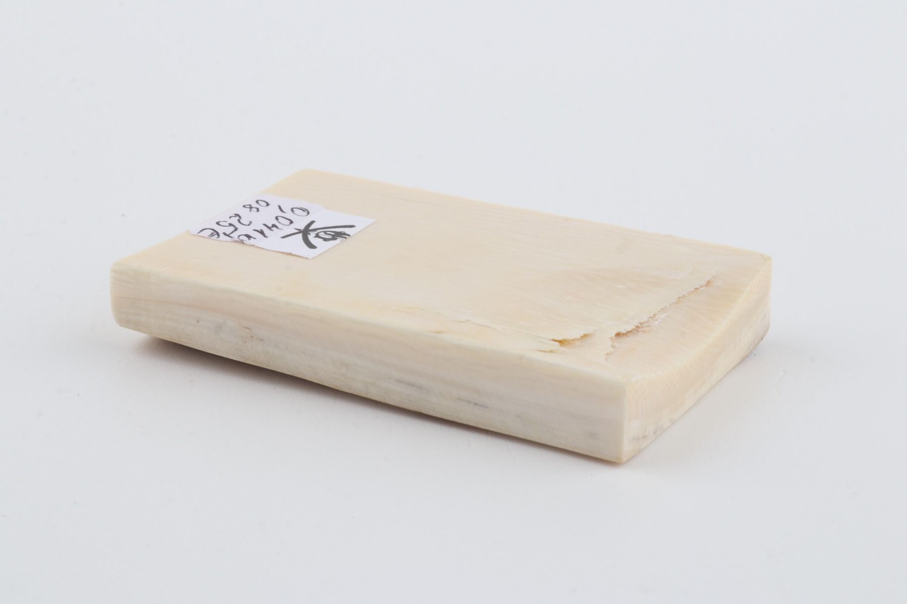 White mammoth ivory segment