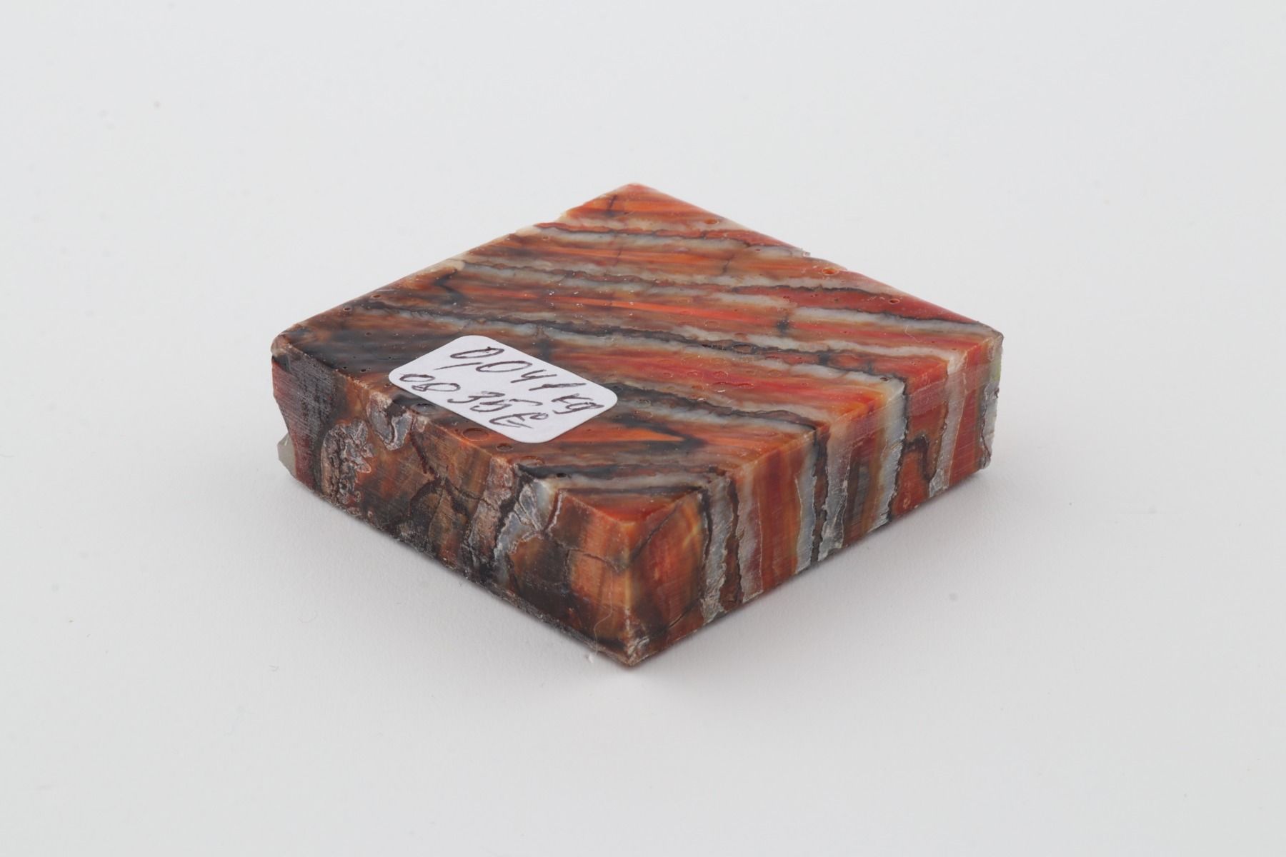 Stabilized mammoth molar piece