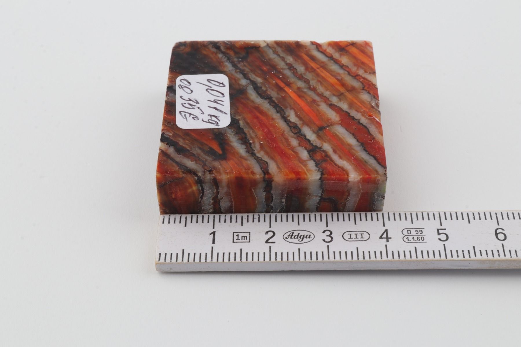 Stabilized mammoth molar piece