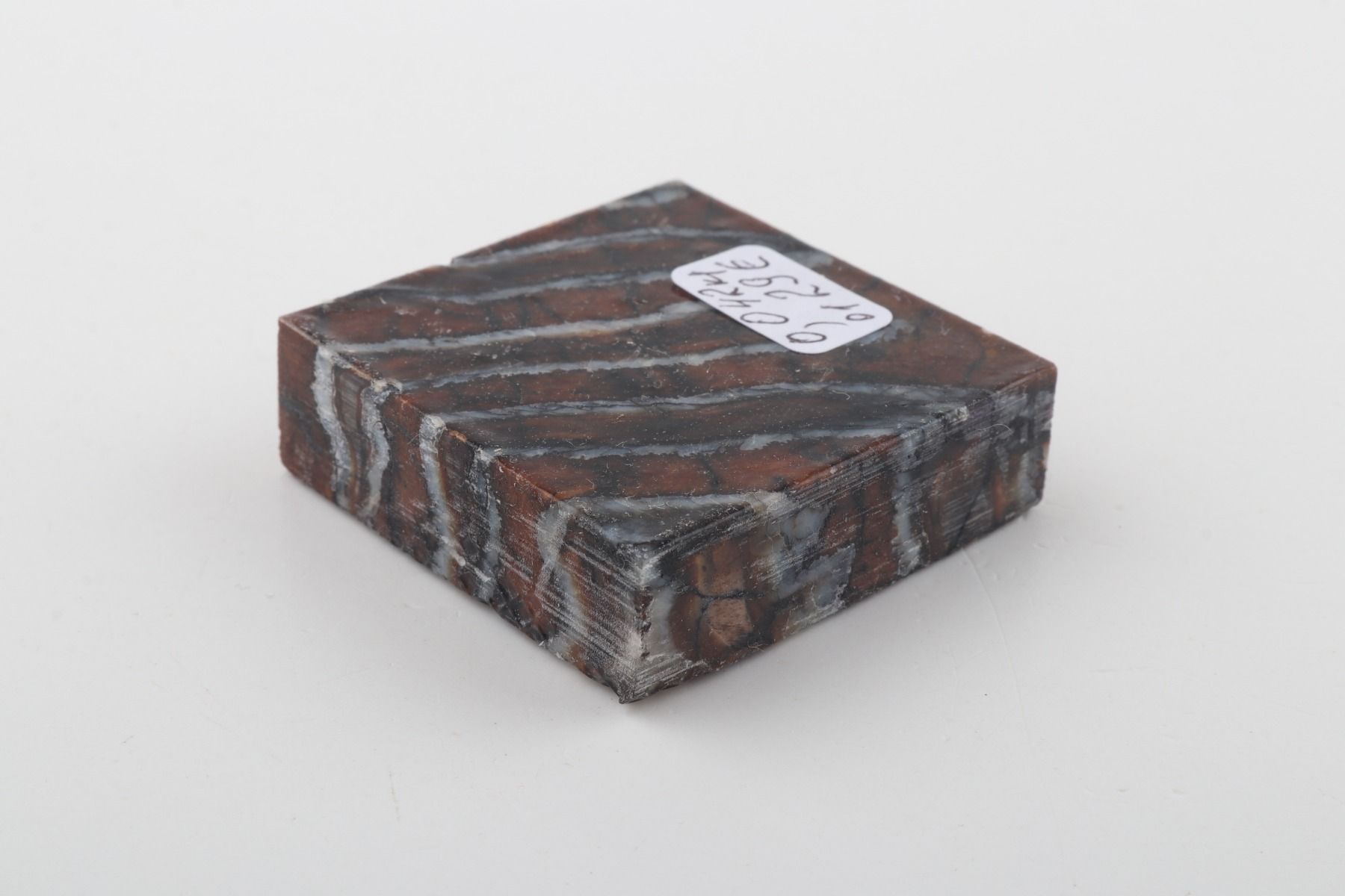 Stabilised mammoth molar piece