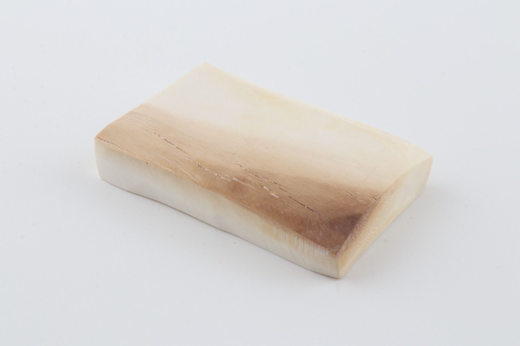 White mammoth ivory segment
