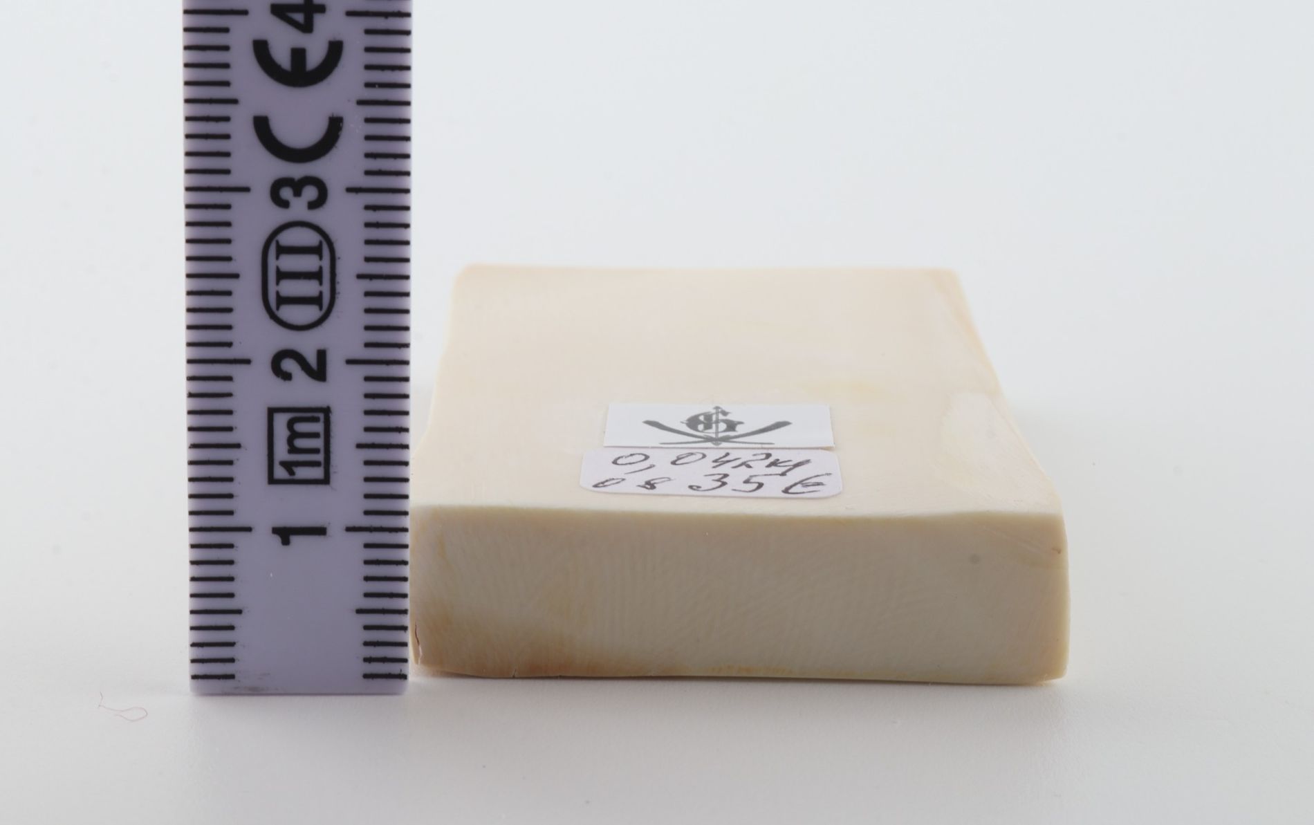 White mammoth ivory segment
