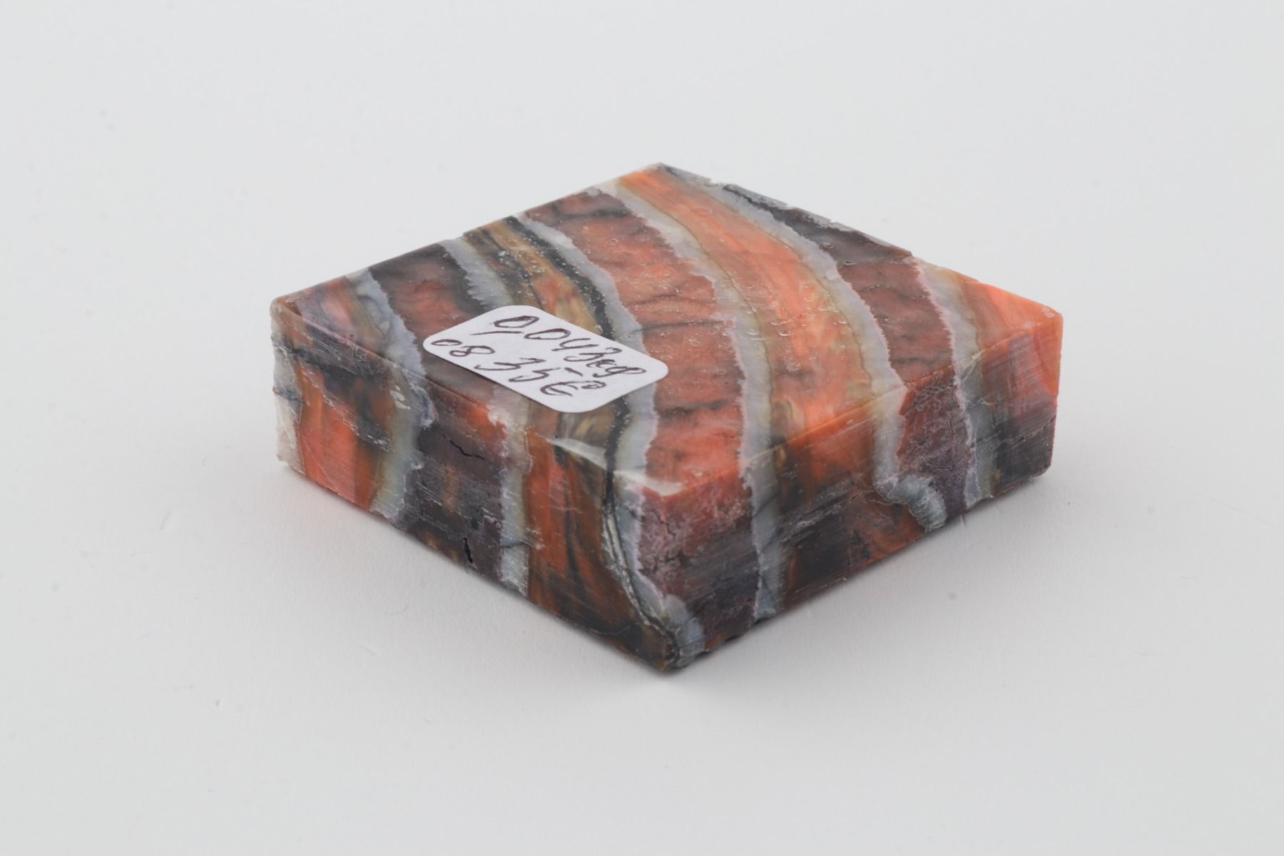 Stabilized mammoth molar piece