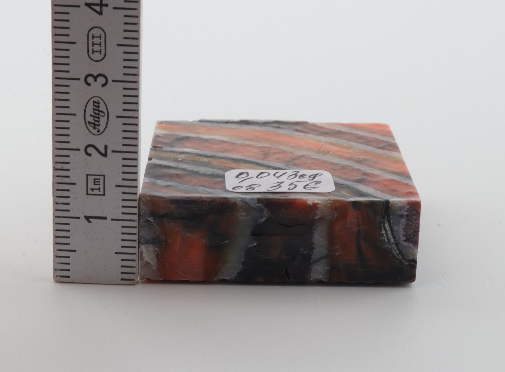 Stabilized mammoth molar piece