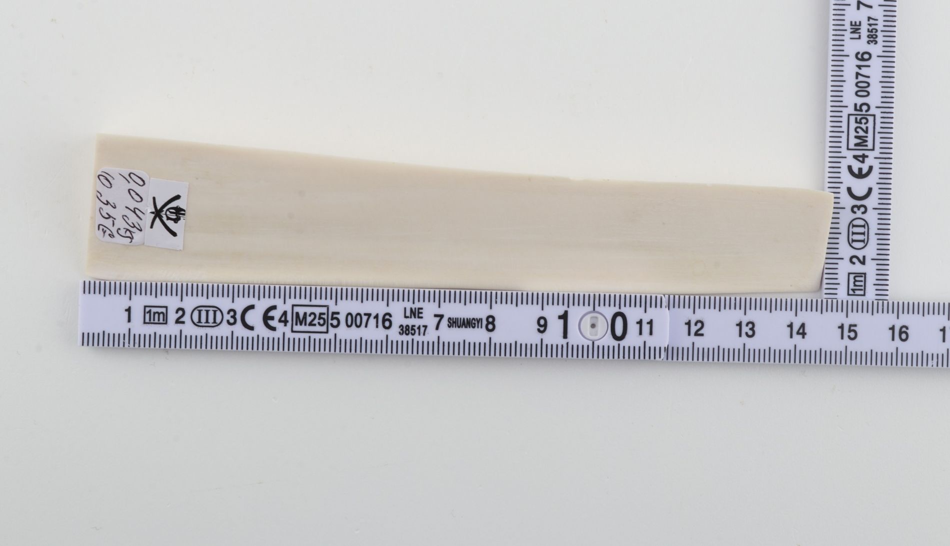 White mammoth ivory piece