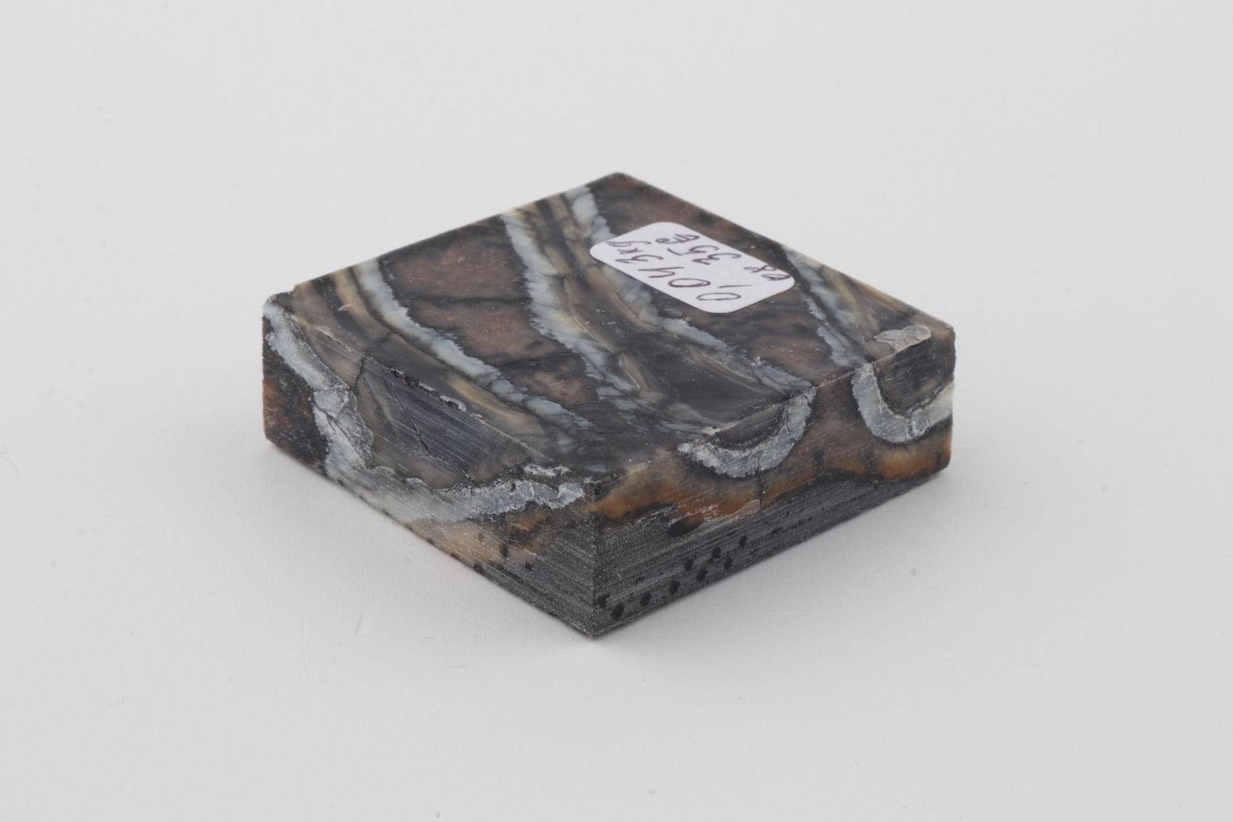 Stabilised mammoth molar piece 