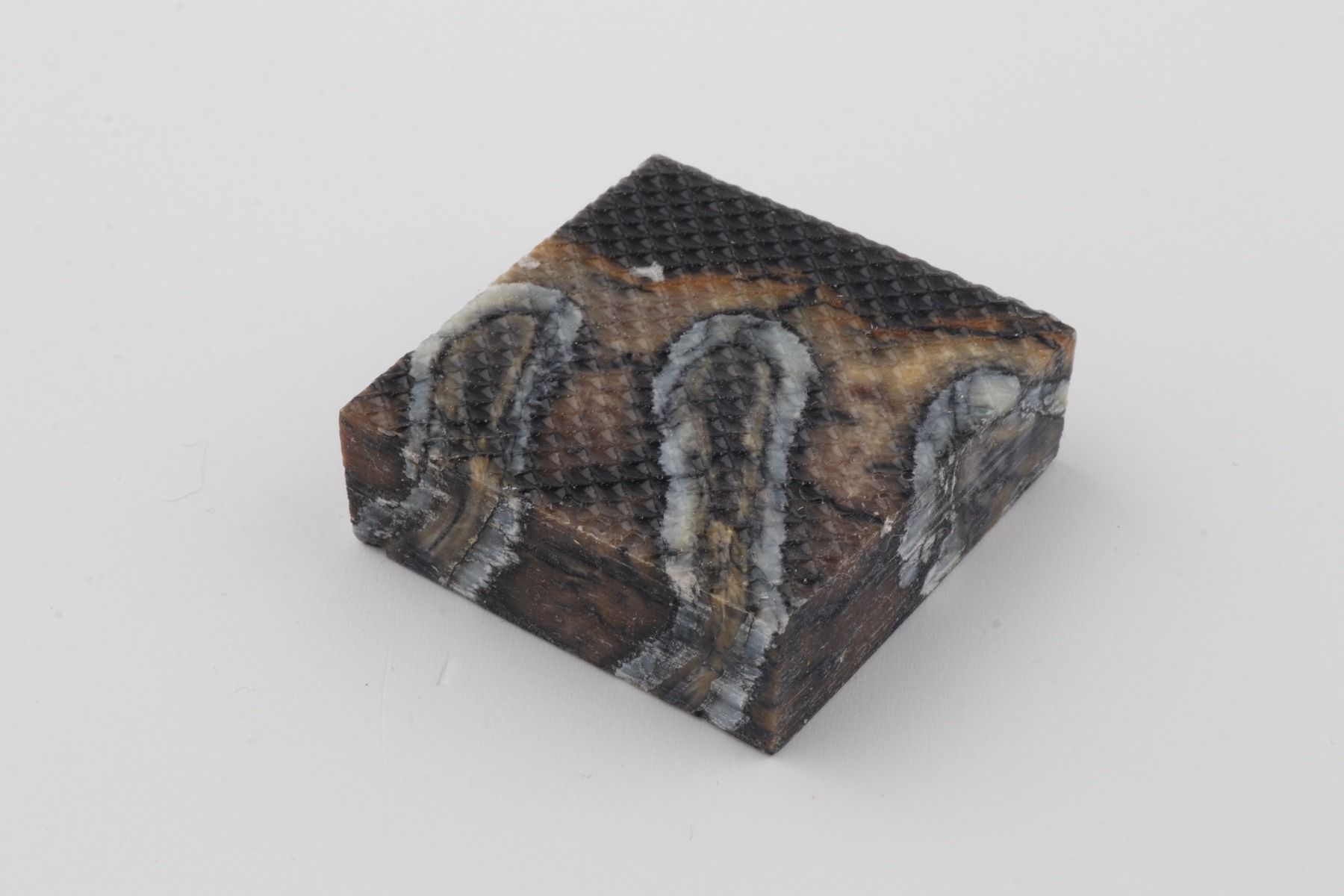 Stabilised mammoth molar piece 