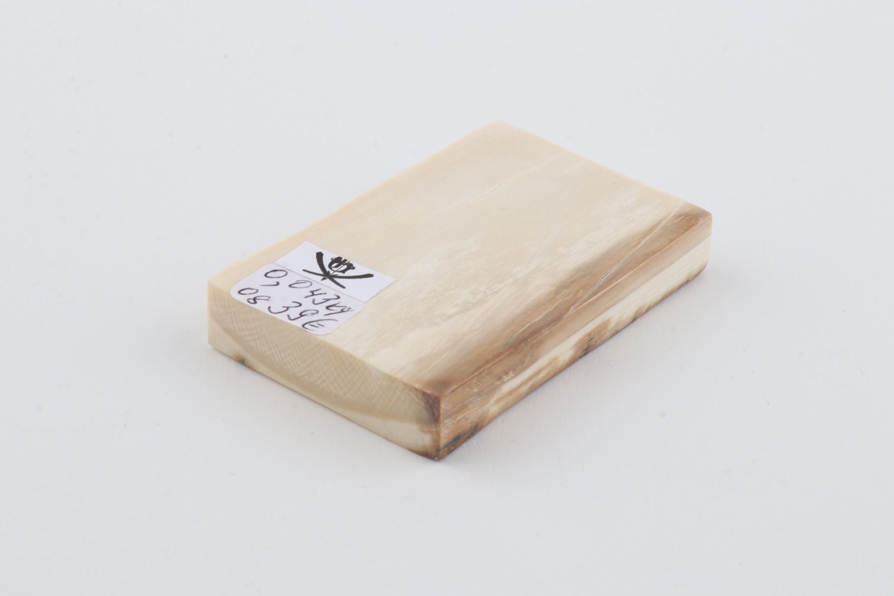 White mammoth ivory segment