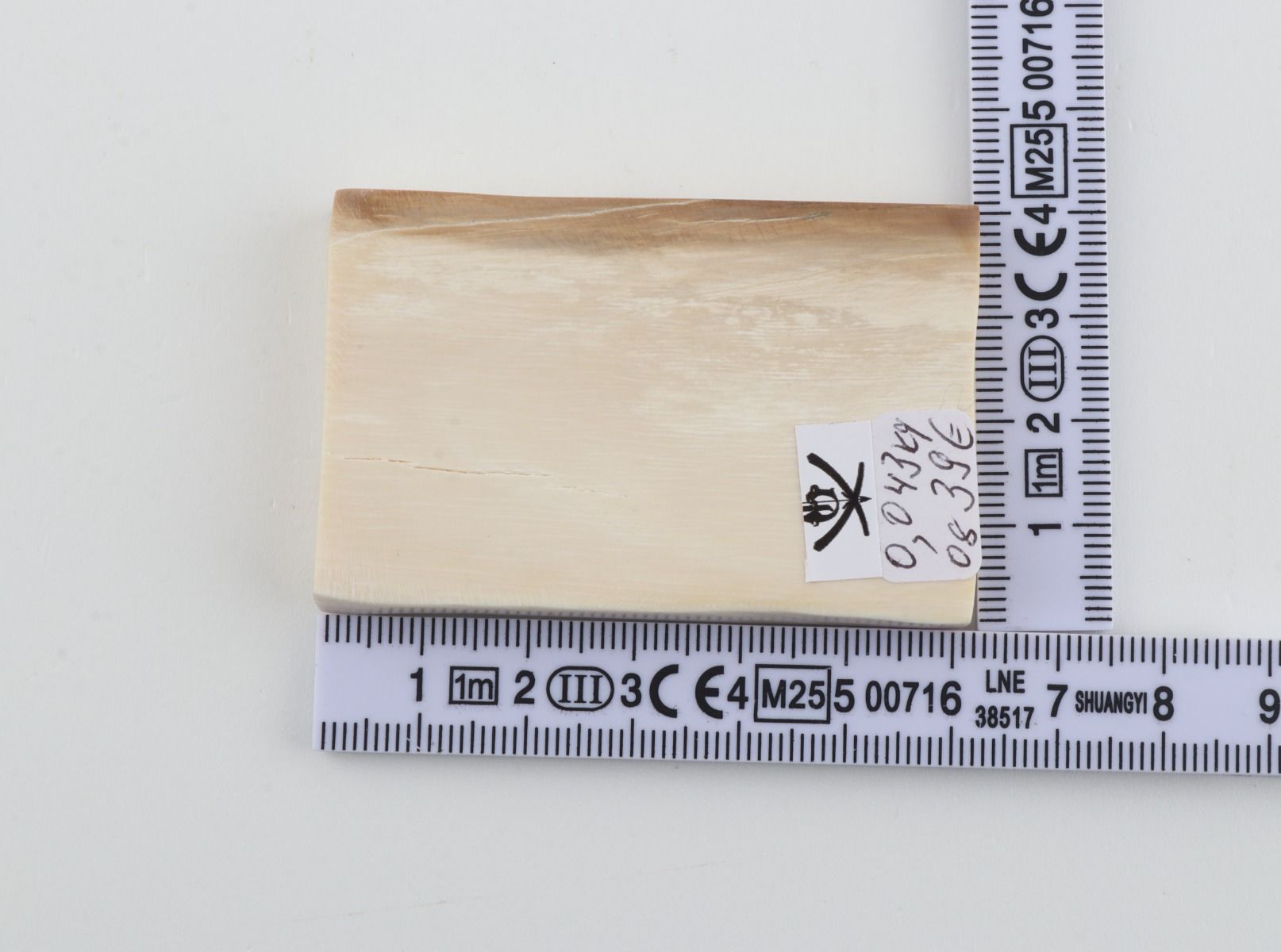 White mammoth ivory segment