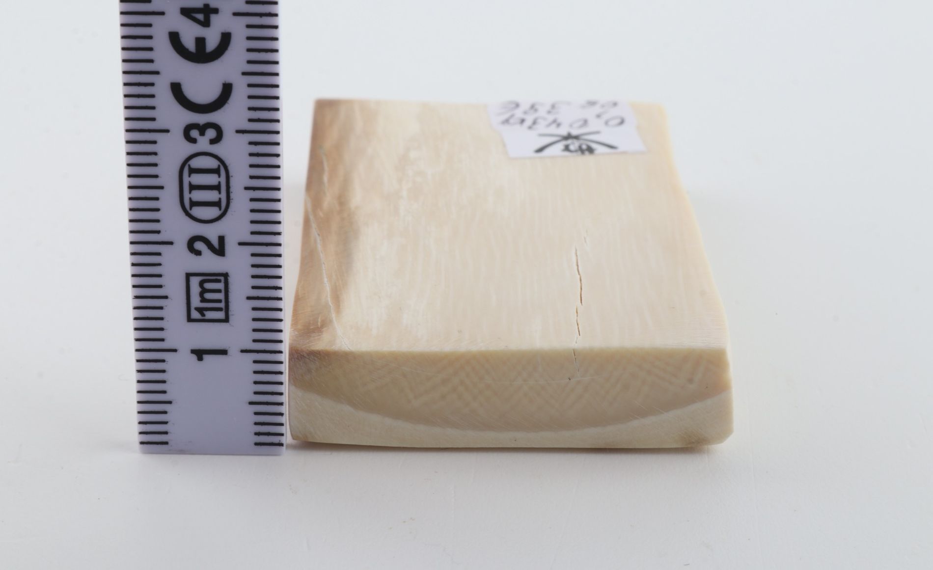 White mammoth ivory segment
