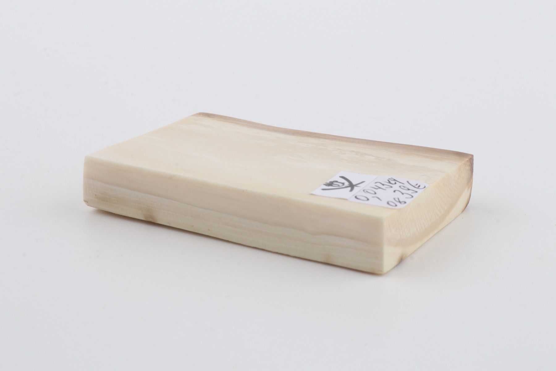 White mammoth ivory segment