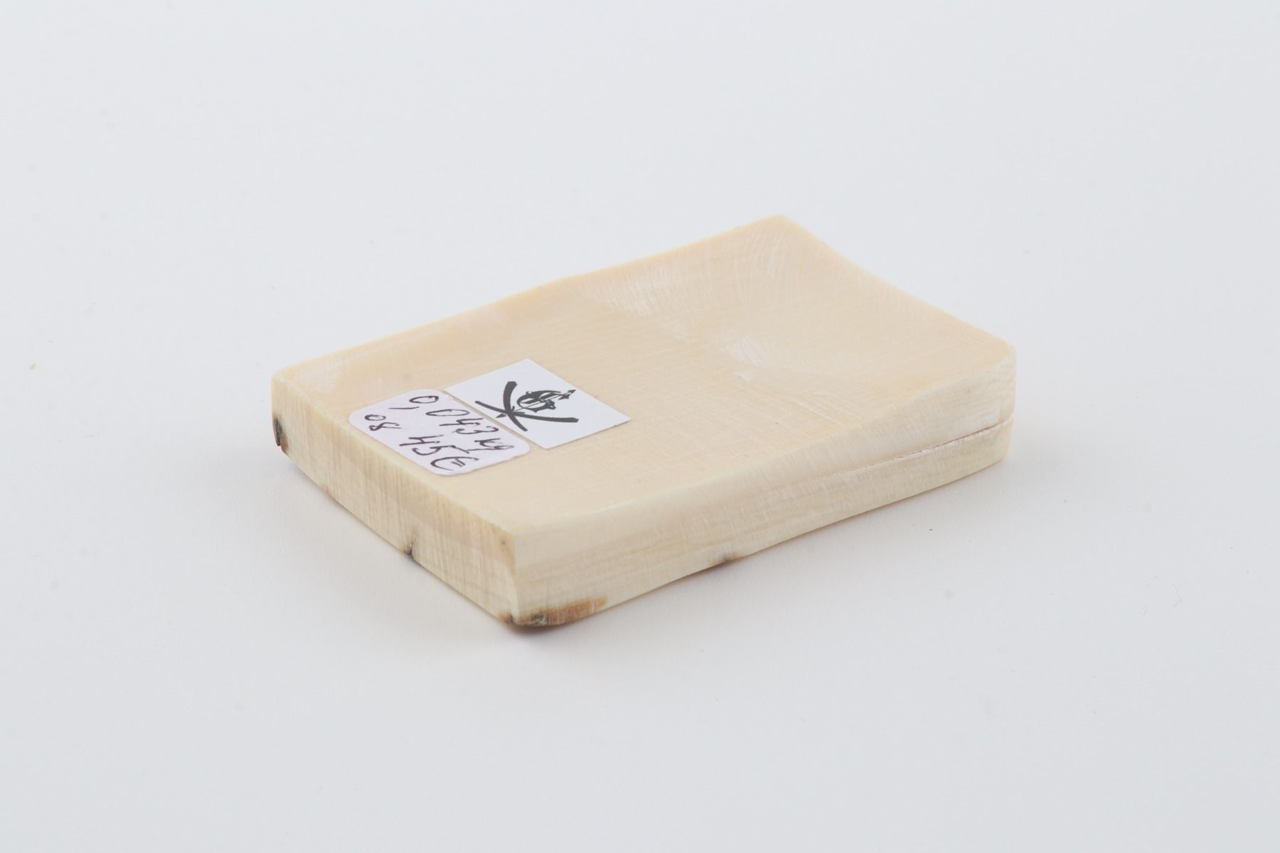 White mammoth ivory segment