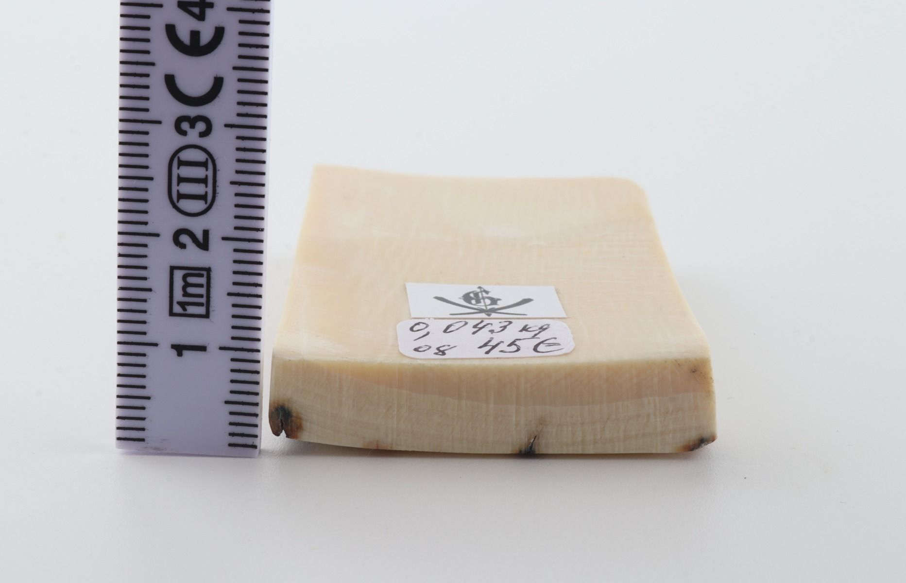 White mammoth ivory segment