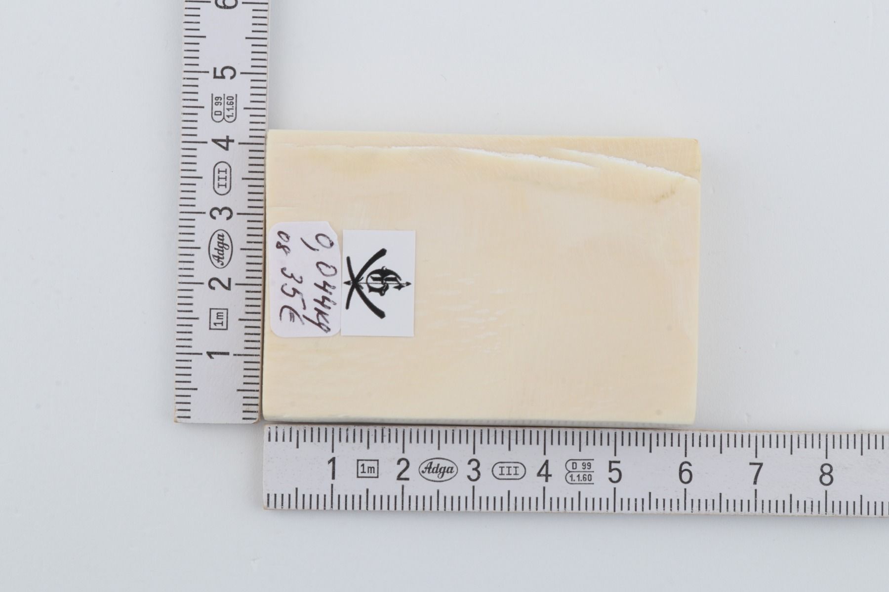 White mammoth ivory segment