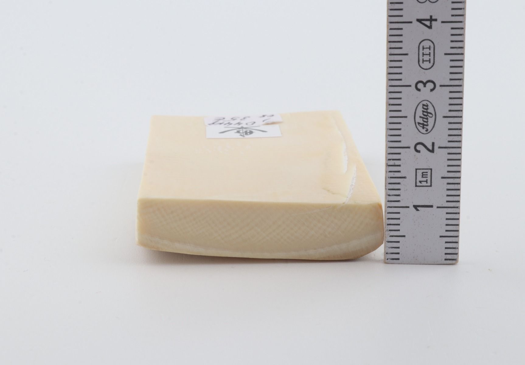 White mammoth ivory segment