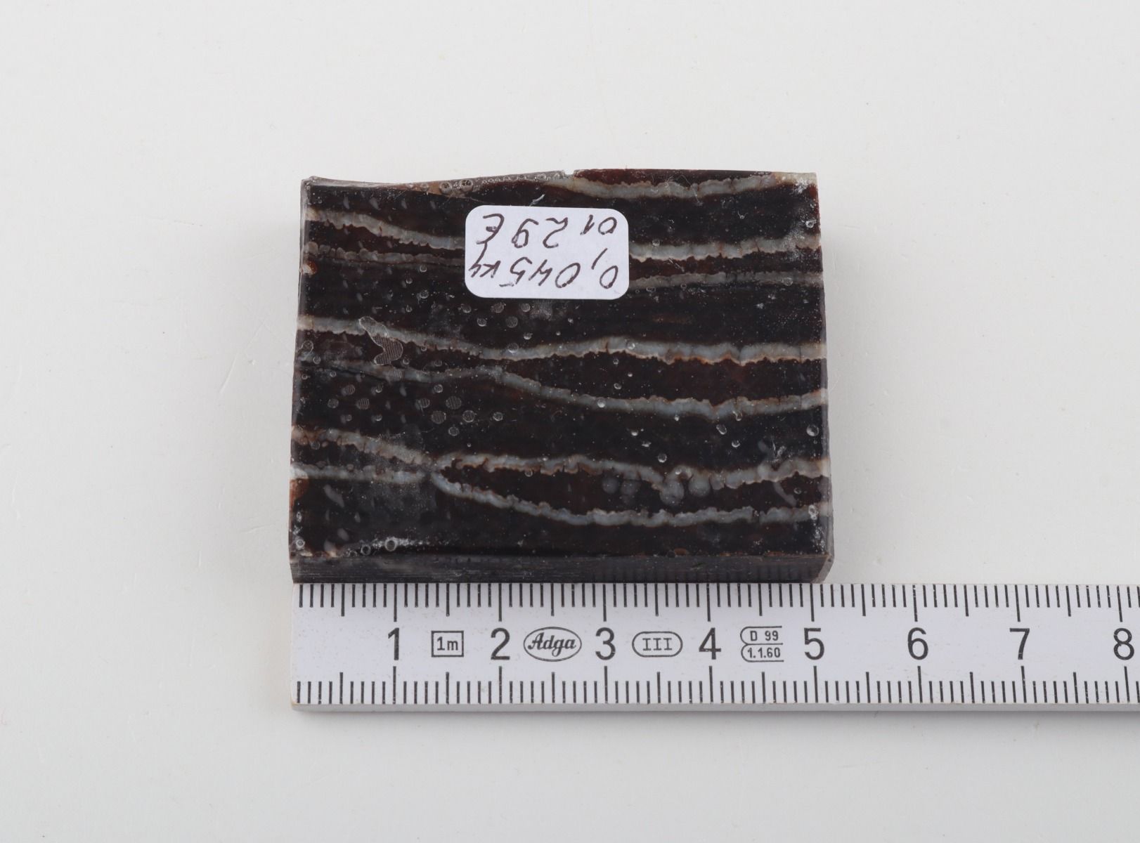 Stabilised mammoth molar piece