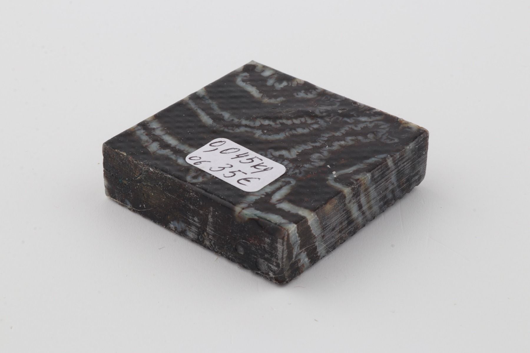 Stabilized mammoth molar piece