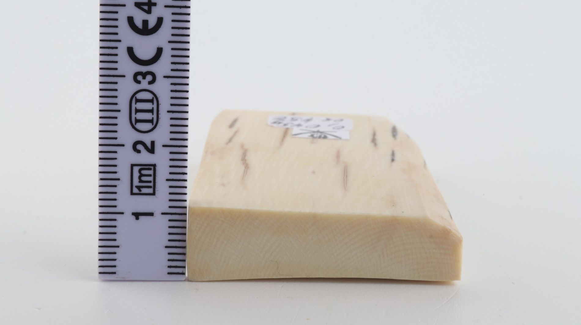 White mammoth ivory segment